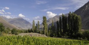 pakistan