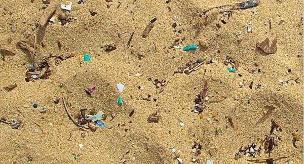 microplasticos del mar a tu plato